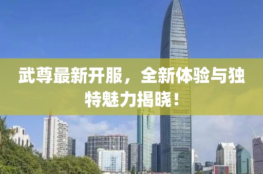 武尊最新开服，全新体验与独特魅力揭晓！