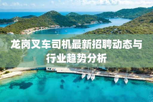 龙岗叉车司机最新招聘动态与行业趋势分析