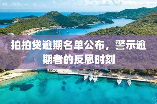 拍拍贷逾期名单公布，警示逾期者的反思时刻