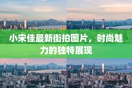 小宋佳最新街拍图片，时尚魅力的独特展现
