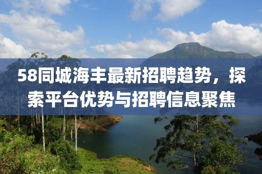 58同城海丰最新招聘趋势，探索平台优势与招聘信息聚焦