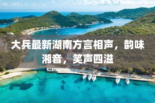 大兵最新湖南方言相声，韵味湘音，笑声四溢