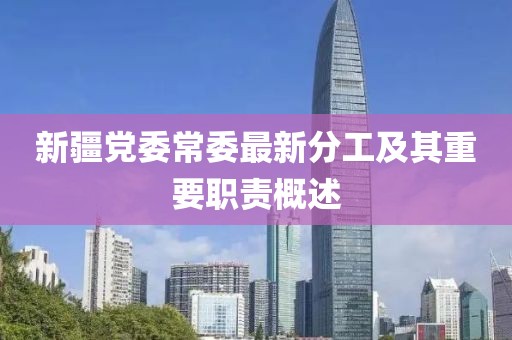 新疆党委常委最新分工及其重要职责概述