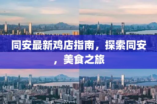 同安最新鸡店指南，探索同安，美食之旅
