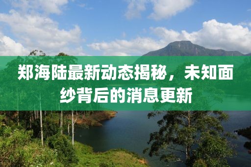 郑海陆最新动态揭秘，未知面纱背后的消息更新