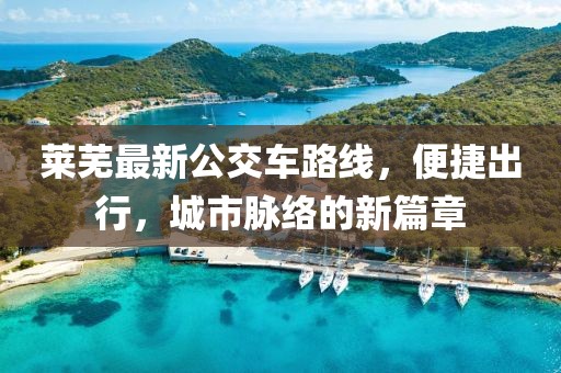 莱芜最新公交车路线，便捷出行，城市脉络的新篇章