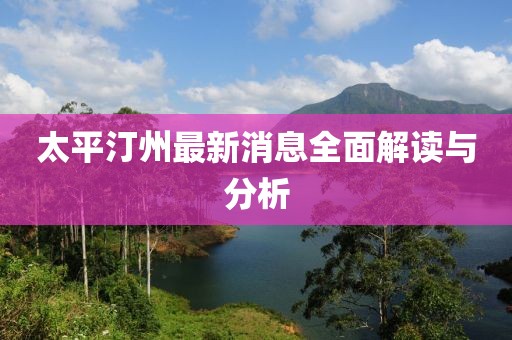 太平汀州最新消息全面解读与分析