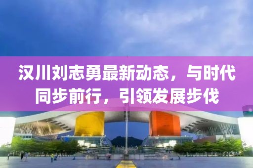 汉川刘志勇最新动态，与时代同步前行，引领发展步伐