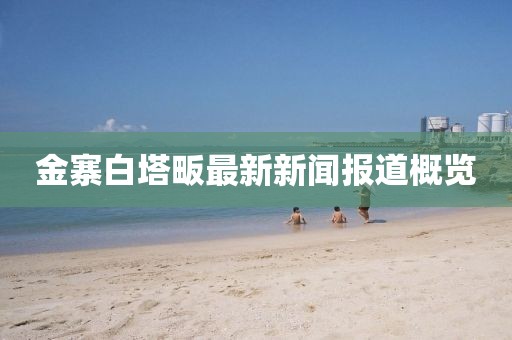 金寨白塔畈最新新闻报道概览