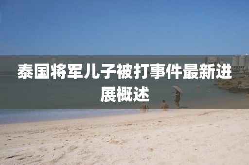 泰国将军儿子被打事件最新进展概述