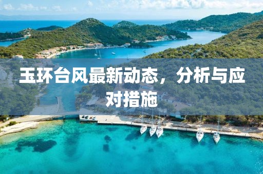 玉环台风最新动态，分析与应对措施
