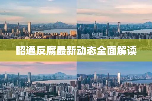 昭通反腐最新动态全面解读