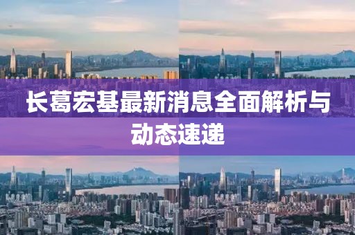 长葛宏基最新消息全面解析与动态速递