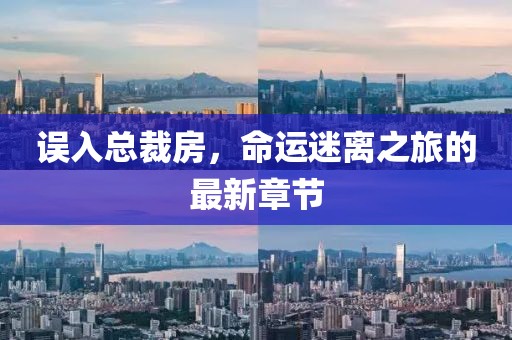 误入总裁房，命运迷离之旅的最新章节