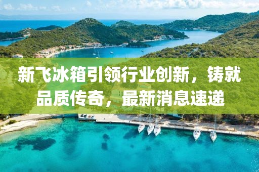 新飞冰箱引领行业创新，铸就品质传奇，最新消息速递