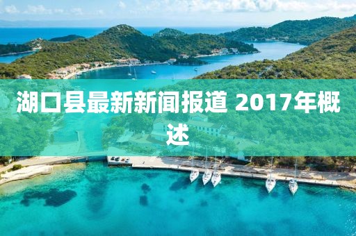 湖口县最新新闻报道 2017年概述
