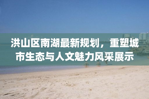 洪山区南湖最新规划，重塑城市生态与人文魅力风采展示
