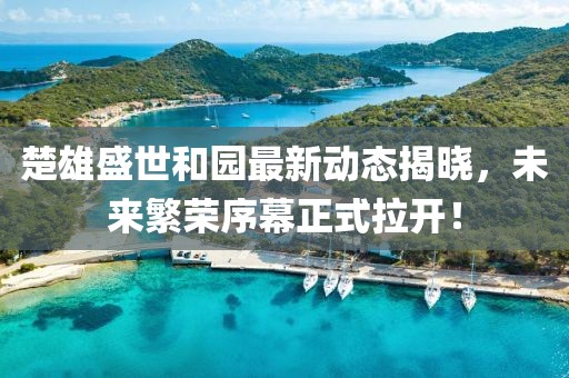 楚雄盛世和园最新动态揭晓，未来繁荣序幕正式拉开！