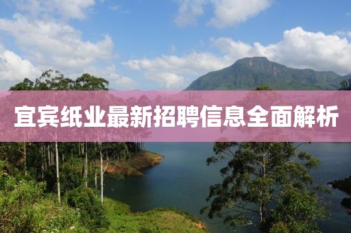 宜宾纸业最新招聘信息全面解析