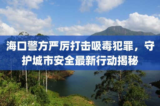 海口警方严厉打击吸毒犯罪，守护城市安全最新行动揭秘