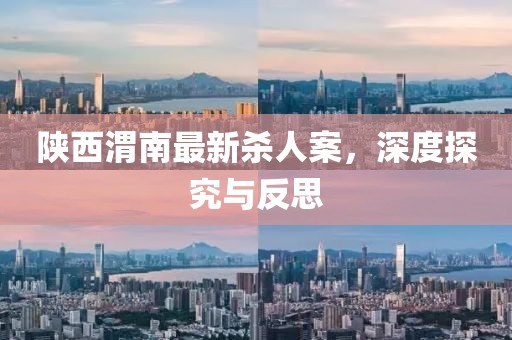 陕西渭南最新杀人案，深度探究与反思