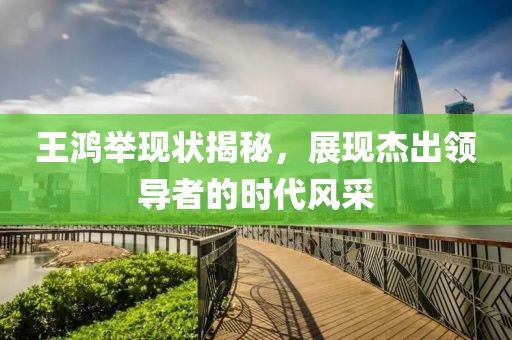 王鸿举现状揭秘，展现杰出领导者的时代风采