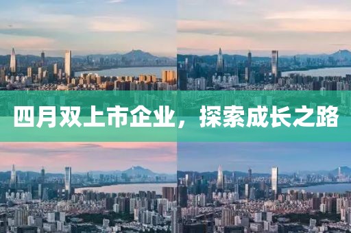 四月双上市企业，探索成长之路