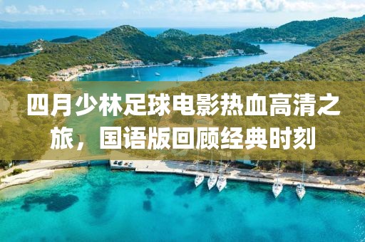 四月少林足球电影热血高清之旅，国语版回顾经典时刻