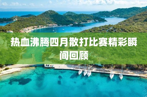 热血沸腾四月散打比赛精彩瞬间回顾