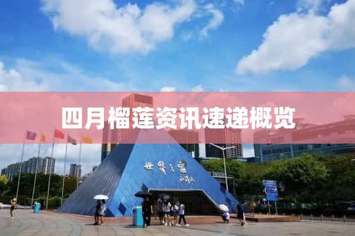 四月榴莲资讯速递概览