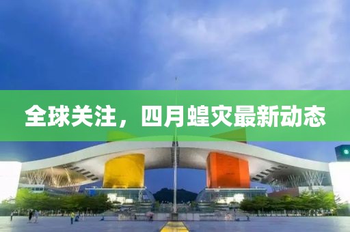 全球关注，四月蝗灾最新动态