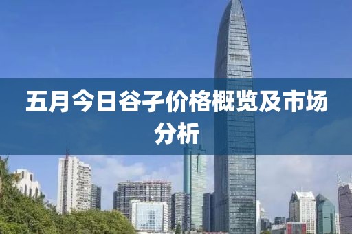 五月今日谷孑价格概览及市场分析