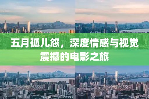 五月孤儿怨，深度情感与视觉震撼的电影之旅