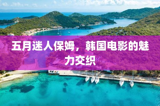 五月迷人保姆，韩国电影的魅力交织