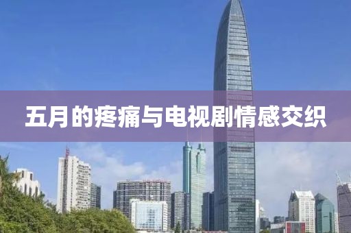 五月的疼痛与电视剧情感交织