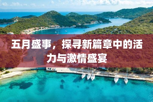 五月盛事，探寻新篇章中的活力与激情盛宴