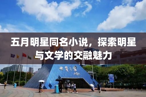 五月明星同名小说，探索明星与文学的交融魅力