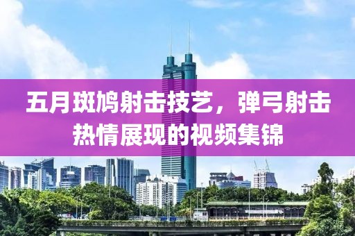 五月斑鸠射击技艺，弹弓射击热情展现的视频集锦