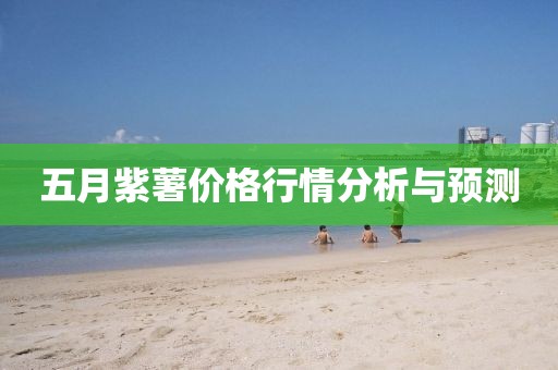 五月紫薯价格行情分析与预测