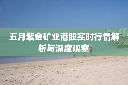 五月紫金矿业港股实时行情解析与深度观察