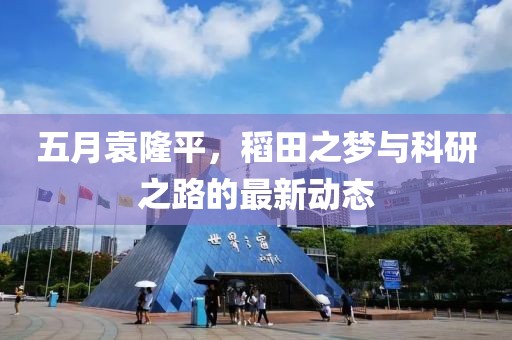 五月袁隆平，稻田之梦与科研之路的最新动态