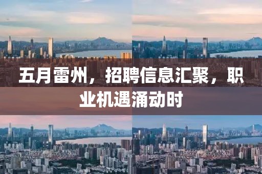 五月雷州，招聘信息汇聚，职业机遇涌动时