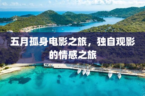 五月孤身电影之旅，独自观影的情感之旅