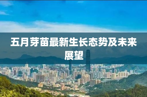 五月芽苗最新生长态势及未来展望