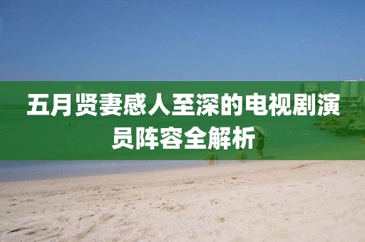 五月贤妻感人至深的电视剧演员阵容全解析