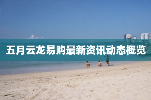 五月云龙易购最新资讯动态概览