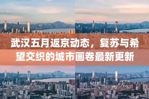 武汉五月返京动态，复苏与希望交织的城市画卷最新更新