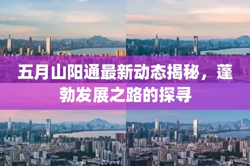 五月山阳通最新动态揭秘，蓬勃发展之路的探寻
