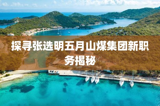 探寻张选明五月山煤集团新职务揭秘
