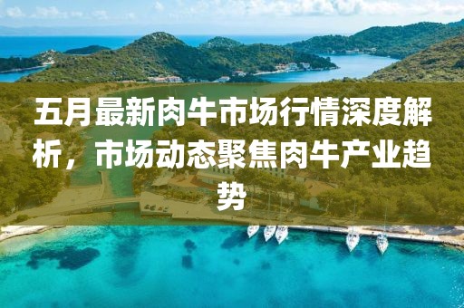 2025年5月8日 第7页